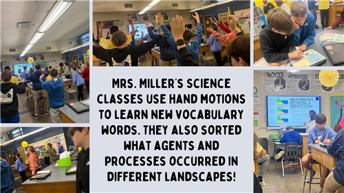 7th Science Vocab